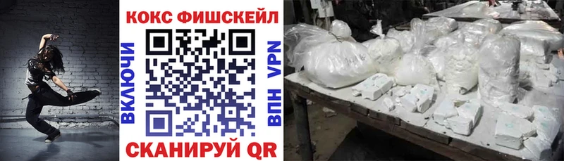 КОКАИН Fish Scale  Купить закладки  Сольвычегодск 