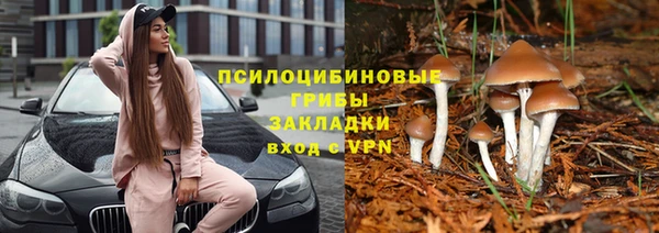 гашик Краснотурьинск